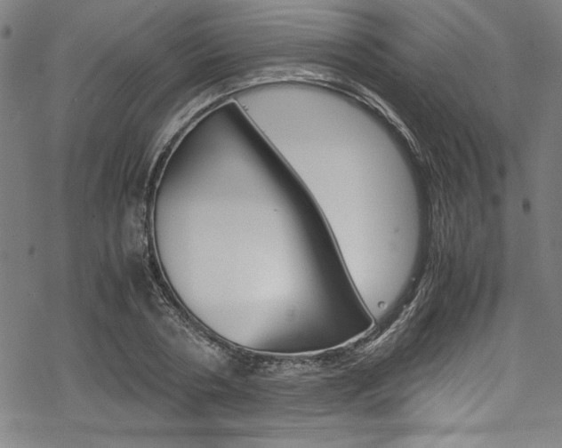 X0000069390786200605120942
