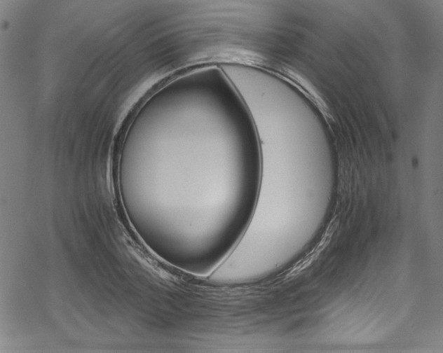 X0000069390788200605120942