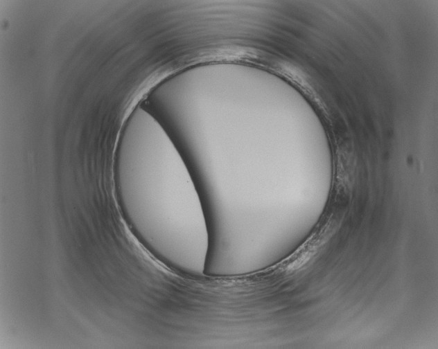 X0000069390802200605120942