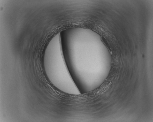 X0000069390817200605120941
