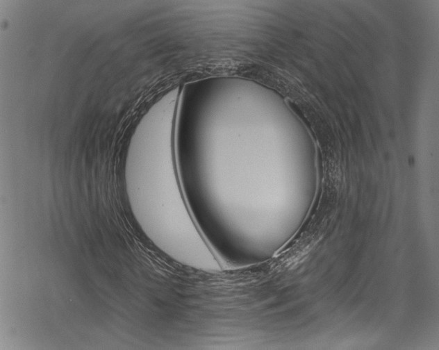 X0000069390818200605120941