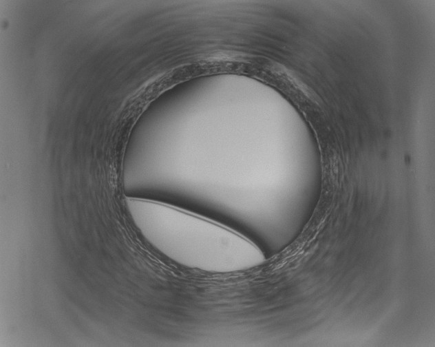 X0000069390821200605120941