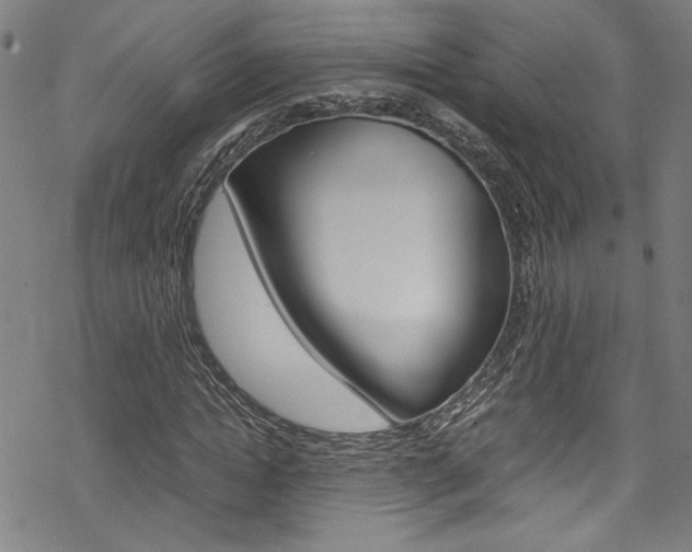 X0000069390822200605120941