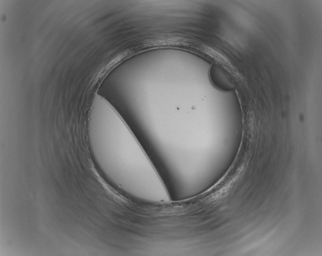 X0000069390841200605120941