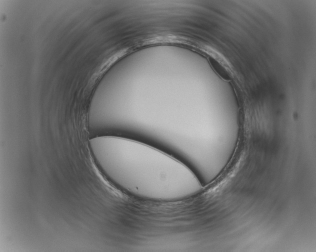 X0000069390849200605120942
