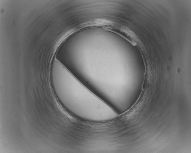 X0000069390850200605120942