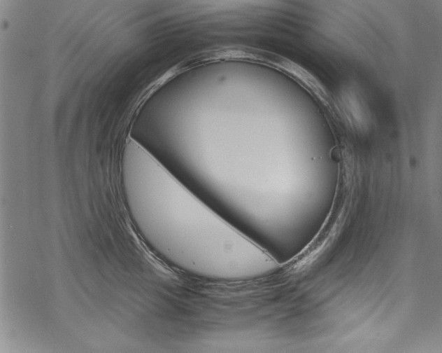 X0000069390857200605120942