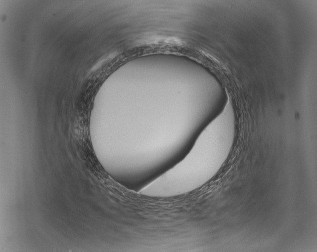 X0000069390869200605120941