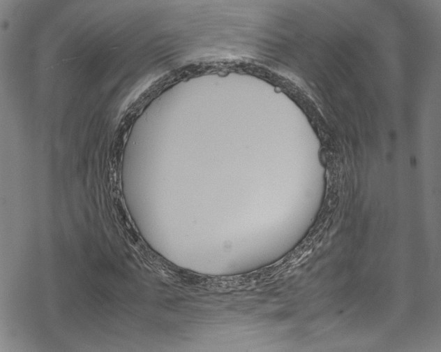 X0000069390871200605120941