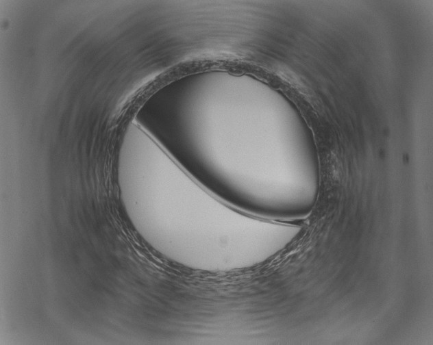X0000069390872200605120941
