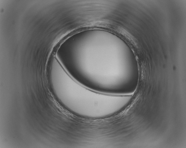 X0000069390876200605120941
