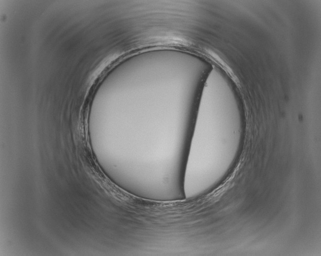 X0000069390883200605120941