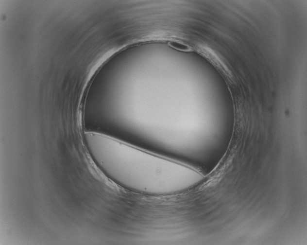 X0000069390900200605120940