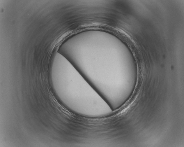 X0000069390921200605120939