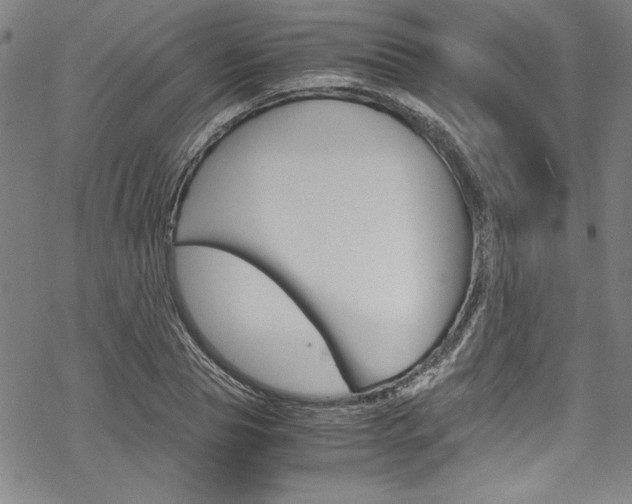 X0000069390929200605120940