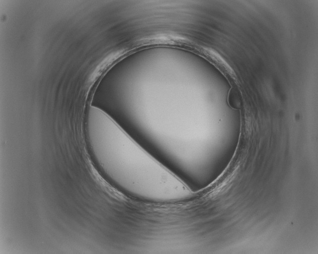 X0000069390938200605120940