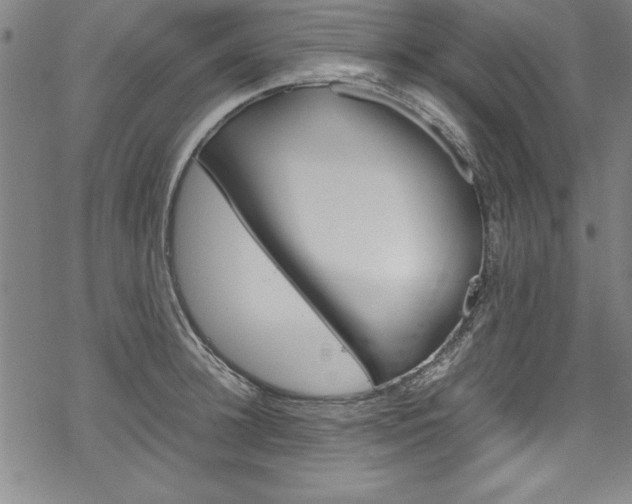 X0000069390948200605120940