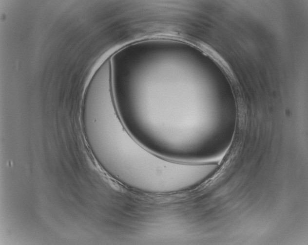 X0000069390956200605120940