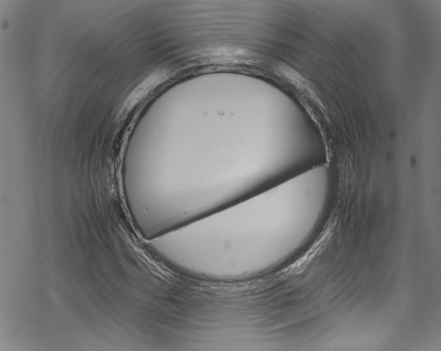 X0000069390970200605120939
