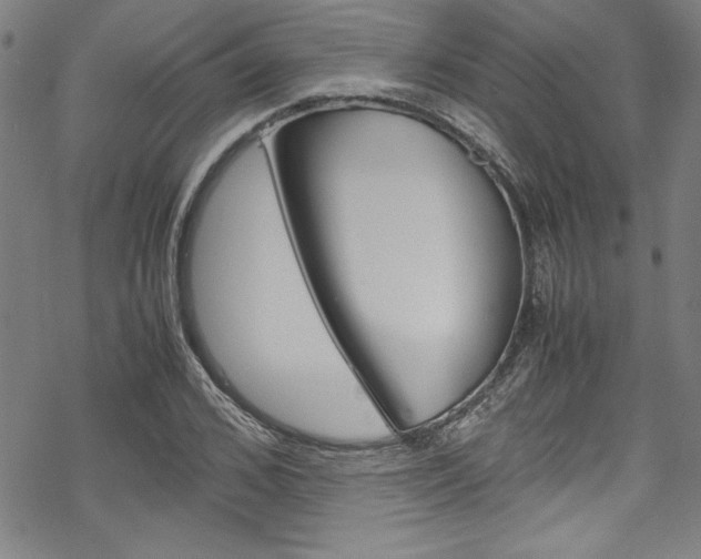 X0000069390976200605120939