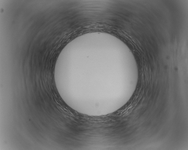X0000069391010200605120938