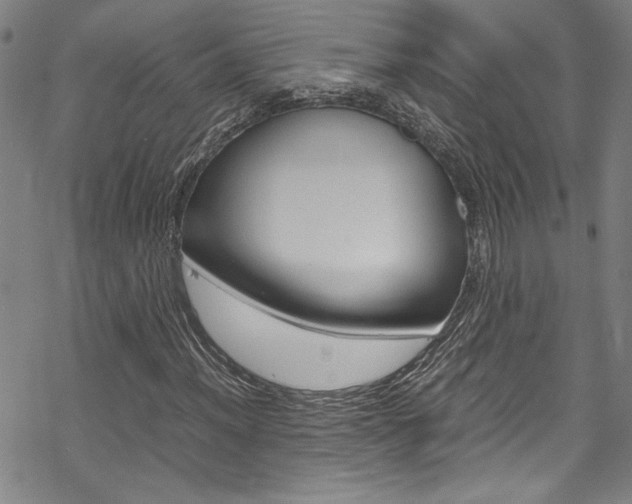 X0000069391012200605120938