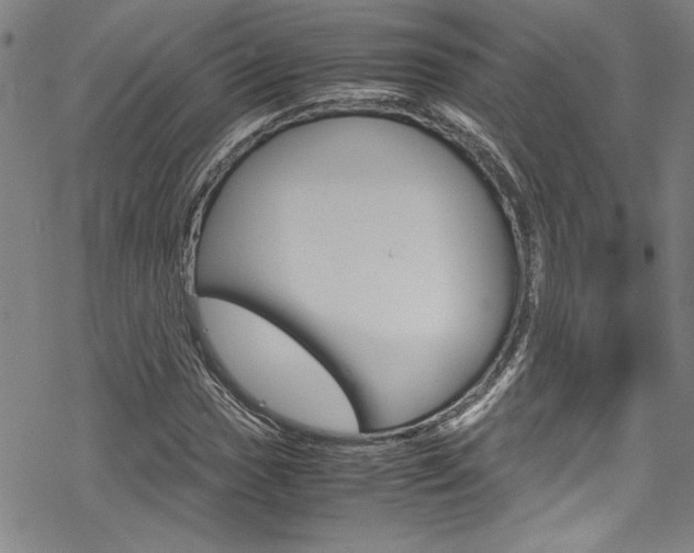 X0000069391017200605120938