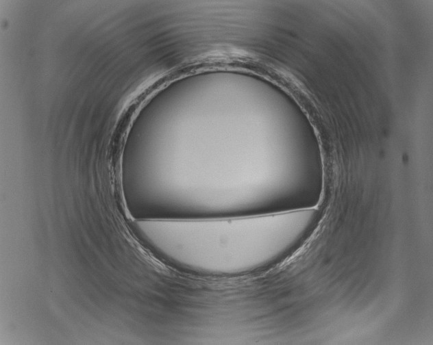 X0000069391018200605120938