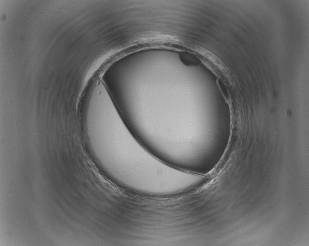 X0000069391022200605120938