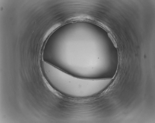 X0000069391042200605120938