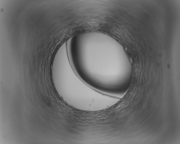 X0000069391057200605120938