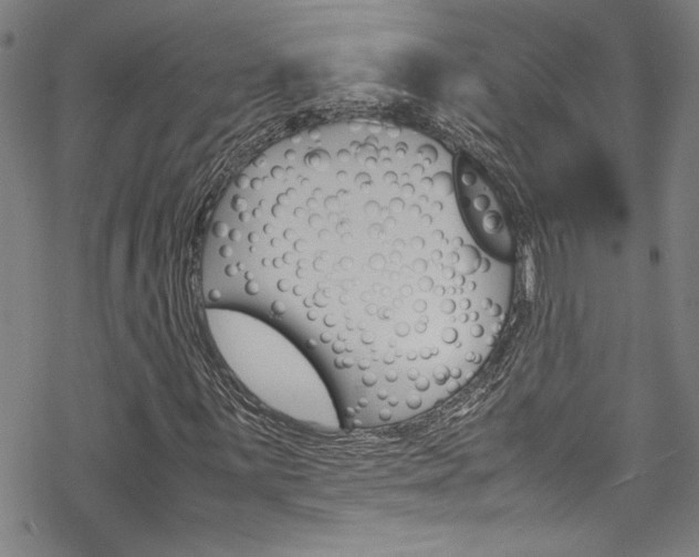 X0000069391059200605120938