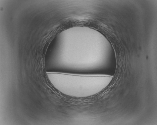 X0000069391061200605120938