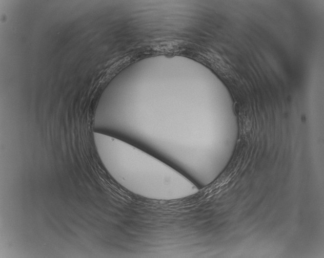 X0000069391106200605120936