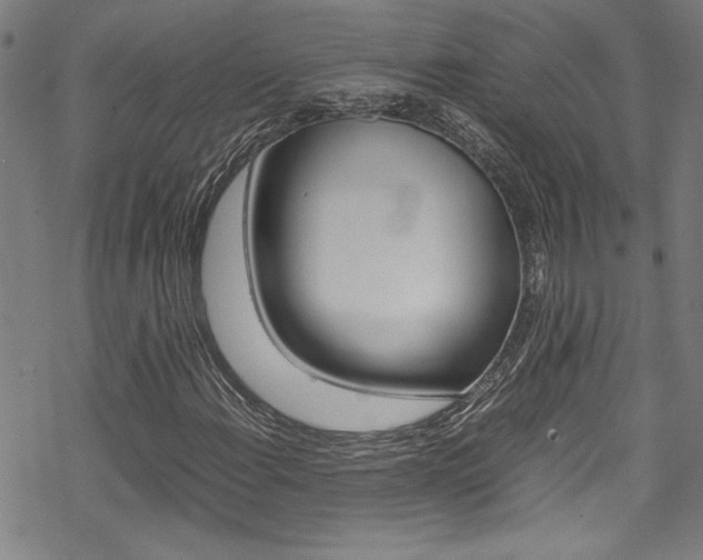 X0000069391108200605120936
