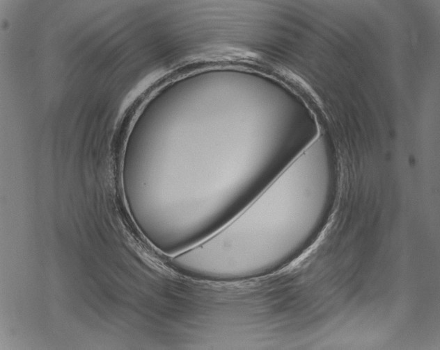 X0000069391114200605120936