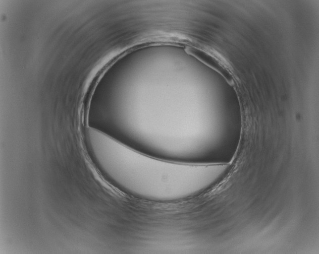 X0000069391128200605120937