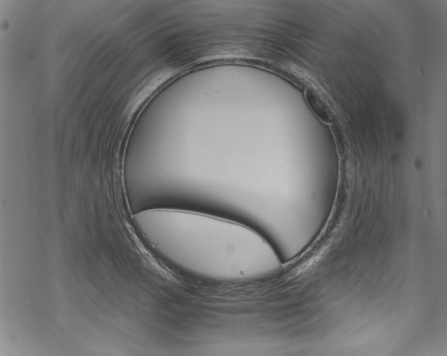 X0000069391129200605120937