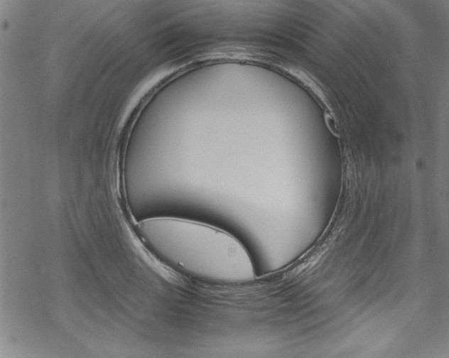 X0000069391131200605120937