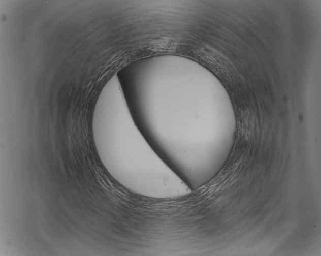 X0000069391154200605120936