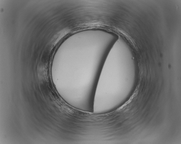 X0000069391162200605120936