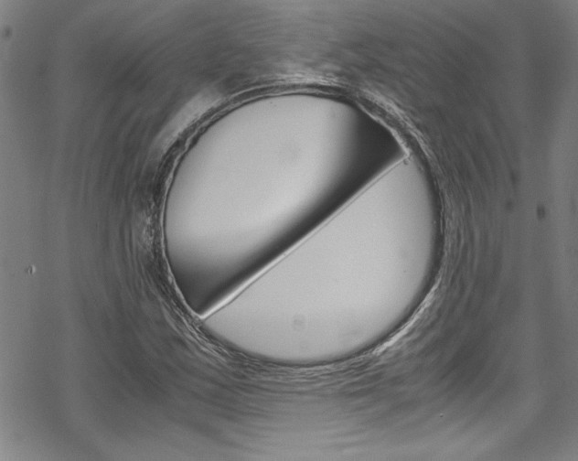 X0000069391163200605120936