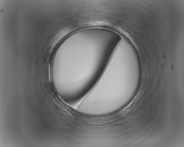 X0000069391171200605120936