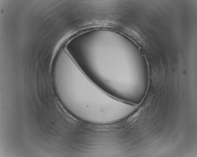 X0000069391172200605120936