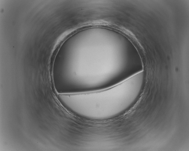 X0000069391176200605120936