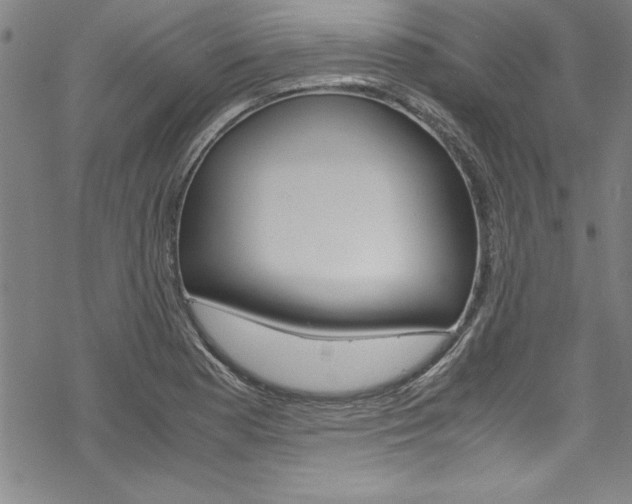 X0000069391177200605120936