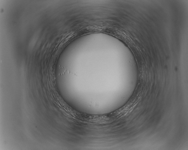 X0000069391201200605120934