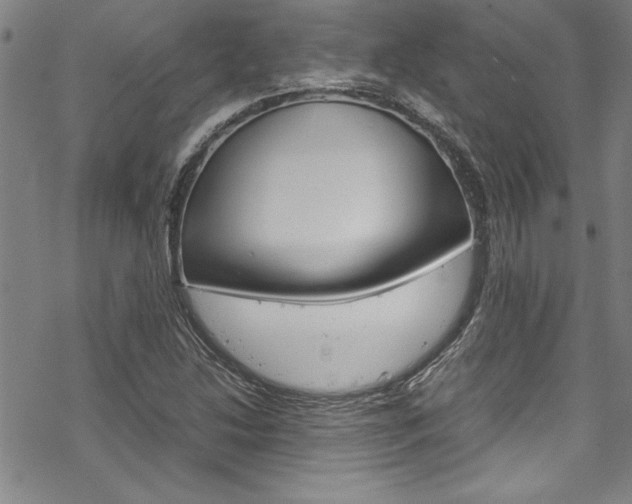 X0000069391214200605120935