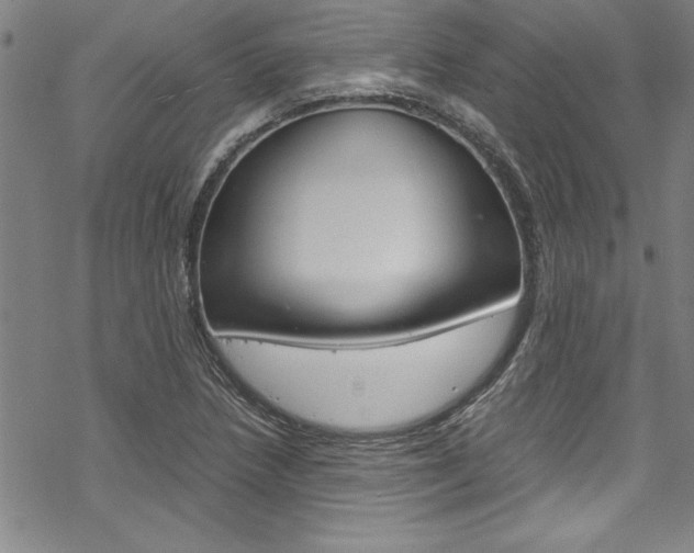 X0000069391218200605120935