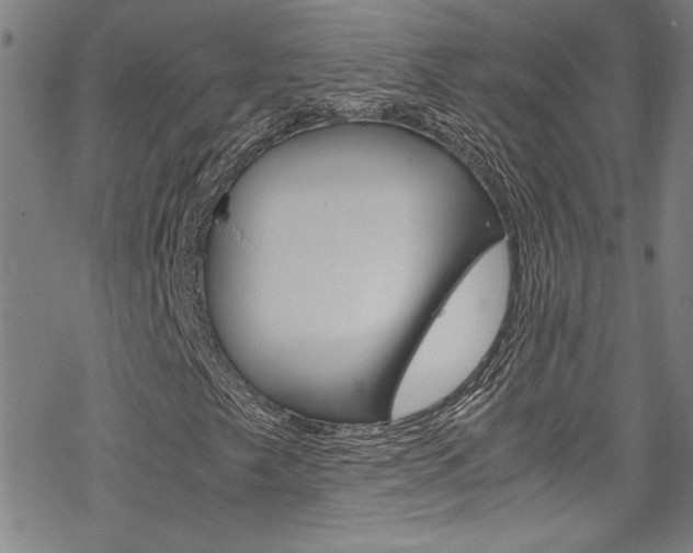 X0000069391249200605120934